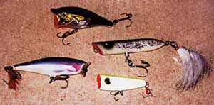 ����� �� �������