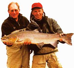 ����������� �������