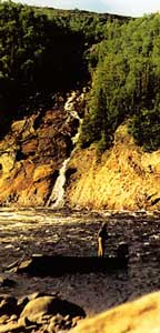 �������� ����������