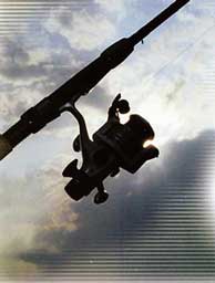 � ����������