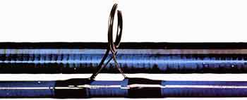 ���� ���������