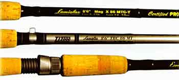 ���� ���������