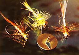 ����������� ����