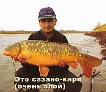 ������-���� ����� ����