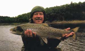 ������� ����������� �����