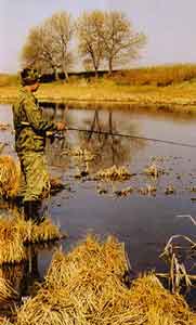 ��� ���� �� ����������