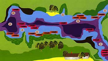 ����� ����� ����