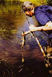 ����� �� �����