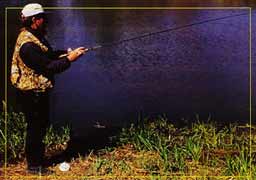 ����� �����