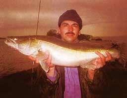 ������� �