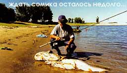 ��� ����