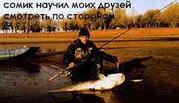 ��� ������� ����