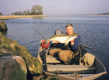 ���������� ���� �������