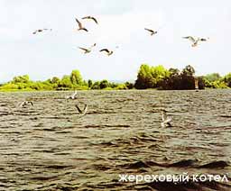 ��������� �����