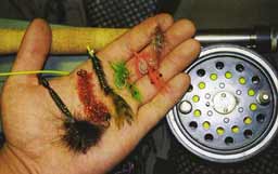 ����������� ����