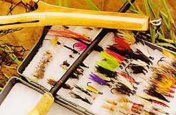 ����������� ����