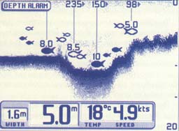 ������� � 6