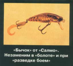 ��� ����