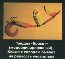 ��� ����