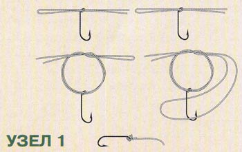 ���� Palomar