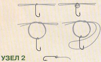 ���� Palomar2