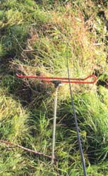 �������� �����