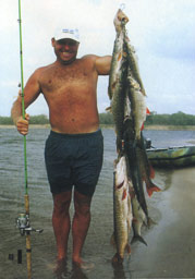 ���� ���������� �������