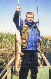 ��� ����