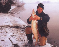 ��� ����