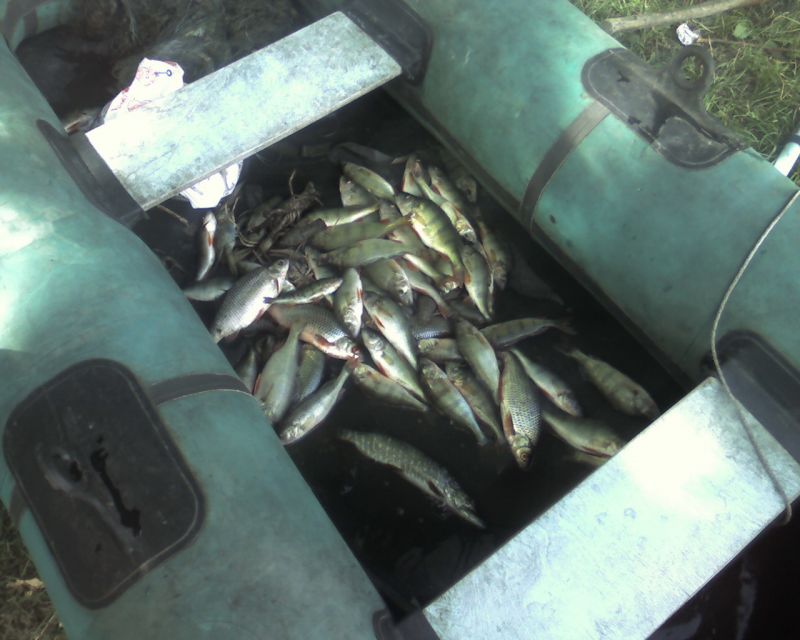 ���� ���� ������� ������