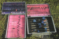 ���� ��� ���������