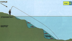 ����� �������