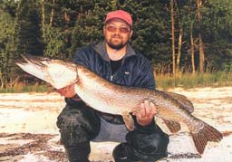 ���� ������