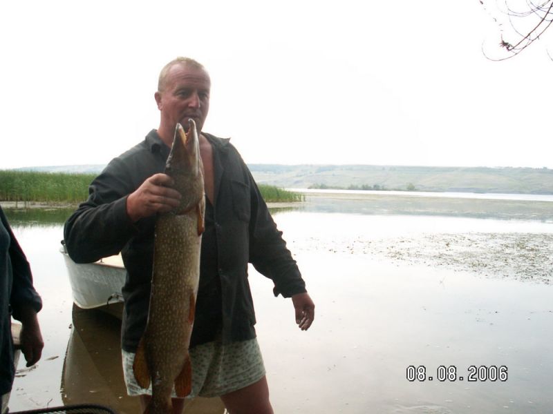  2006