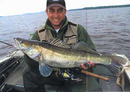 Composite Developments