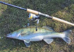 Composite Developments