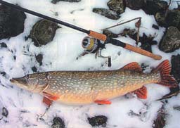 Composite Developments