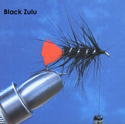Black Zulu