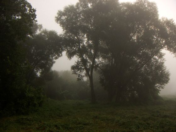 ���, � ������ - ����...