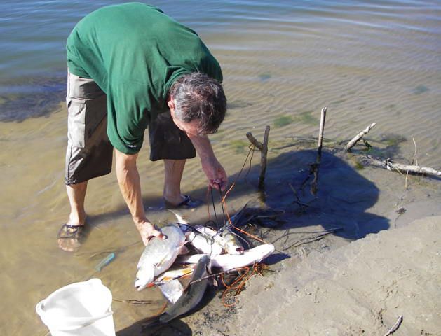 ��������