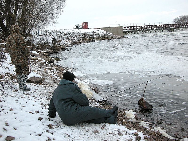 ���� ������ - �������� ����� ������ �� ������.