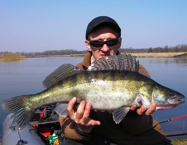 ������� �� klikosa