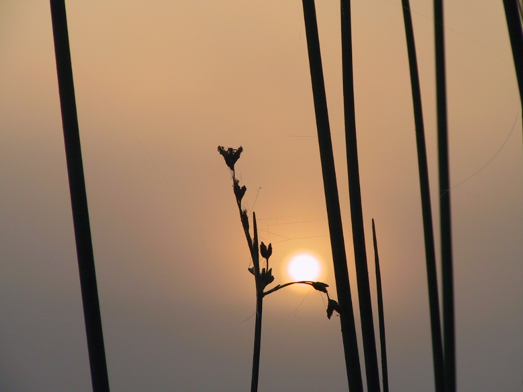 ���� ���� 2003