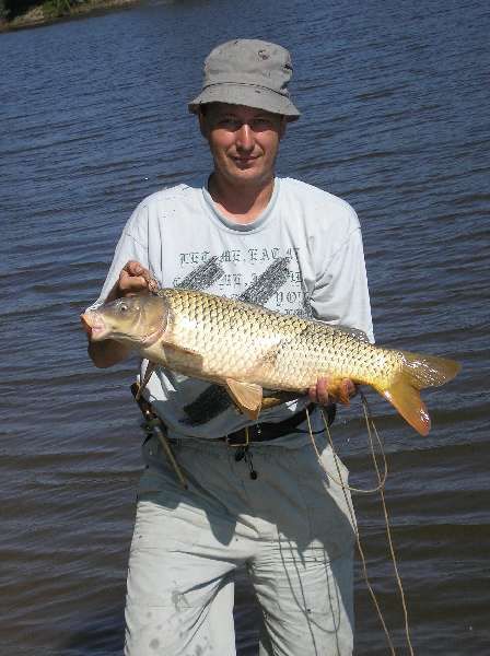 ���� � �������.