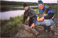 ��������� ����������