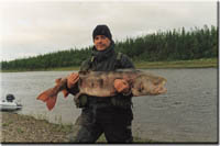 ��������� �������