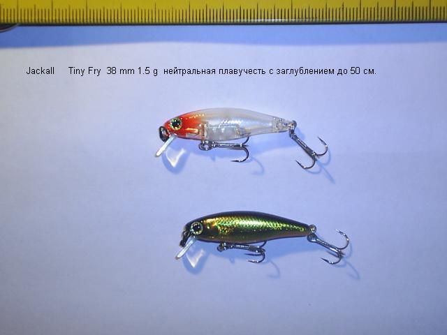 TinyFry