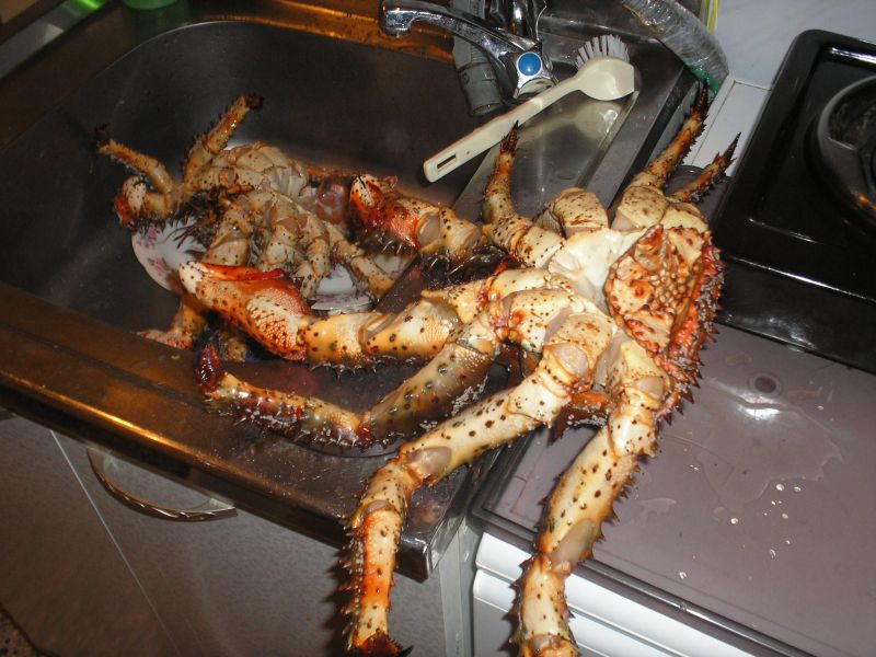 ����� ��� �� �����