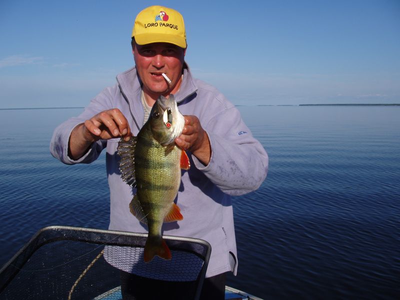 ����� ������� �������� ����� 1,240��.