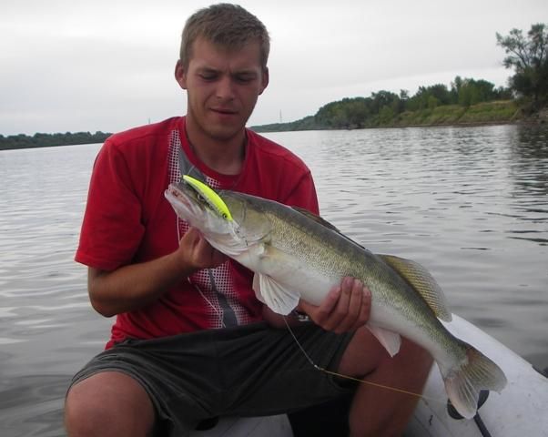 ������  ����������� ������